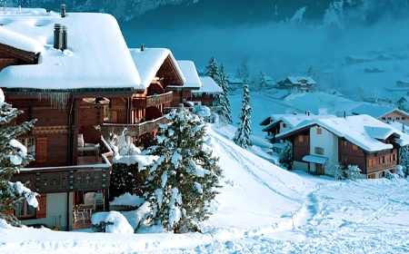 ZEUS Limousine | Logo