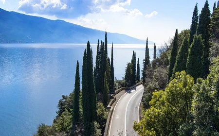 ZEUS Limousine | Logo